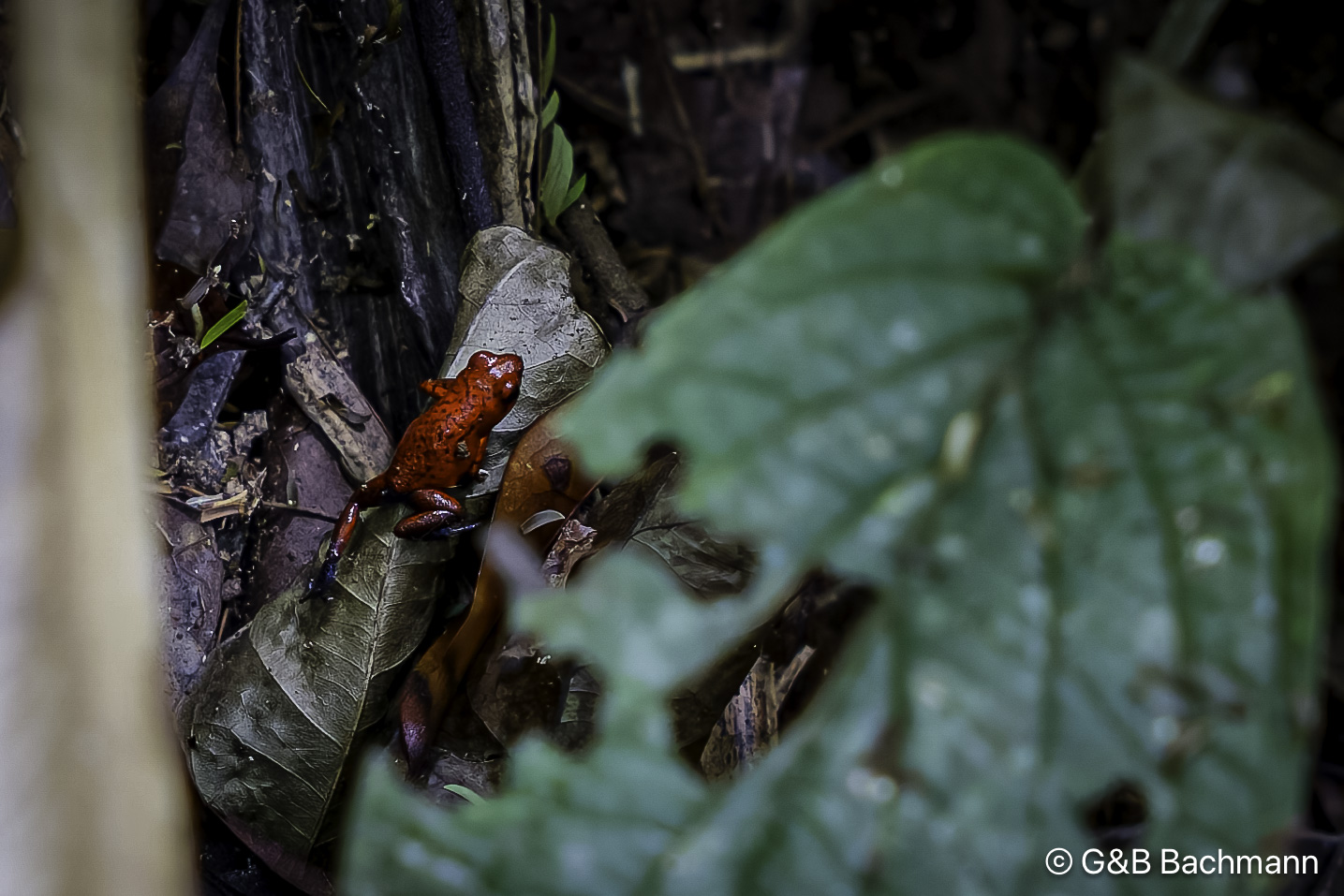 0W0A0747_DxO.jpg