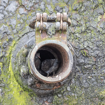 Belfast-Titanic Museum