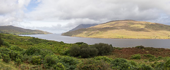 108A5405-Pano.jpg