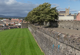 108A5076.jpg