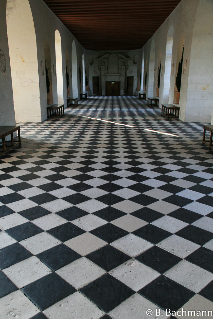 Chenonceau_0027.jpg