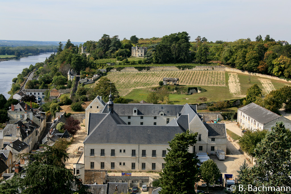Chinon_0007.jpg