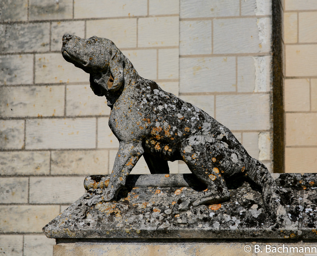 Loches_0003.jpg