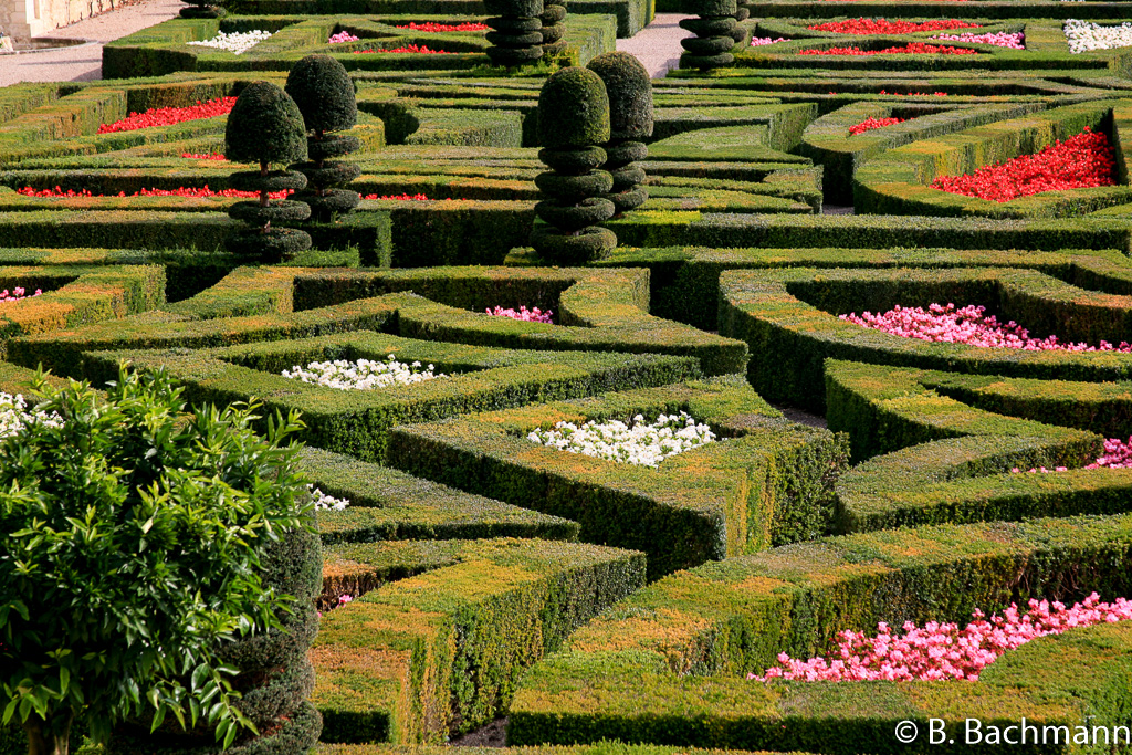 Villandry_0024.jpg