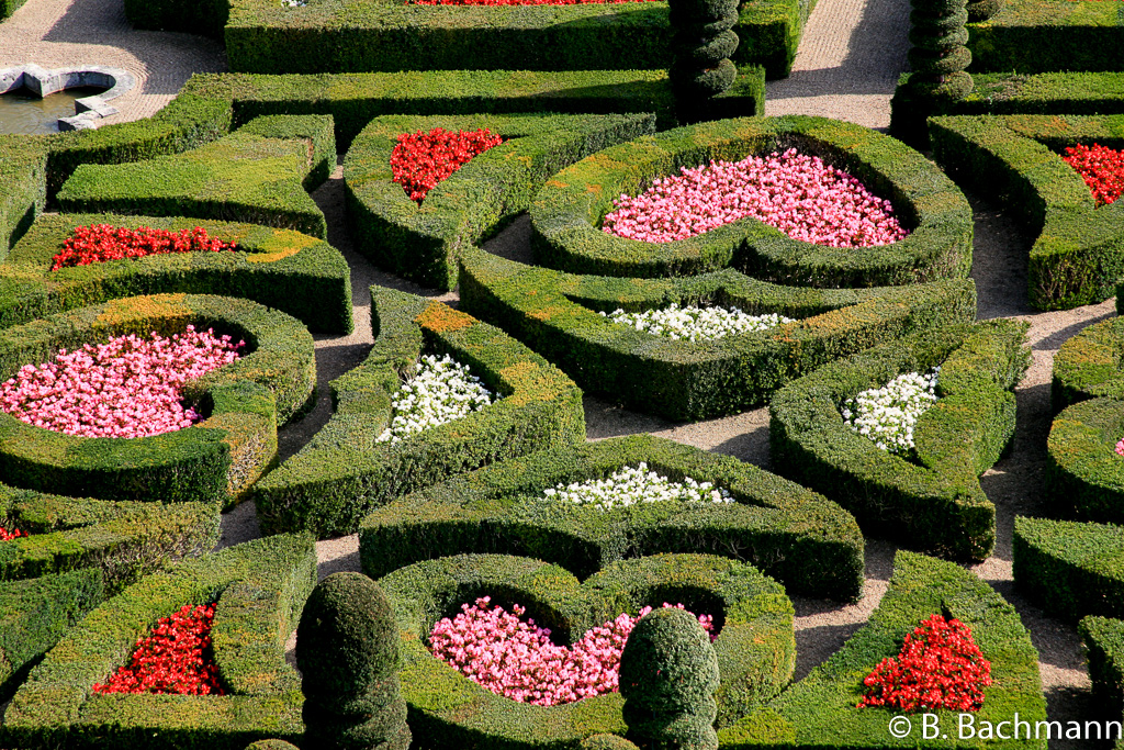 Villandry_0028.jpg