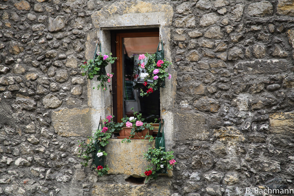 Annecy-Talloires_0012.jpg