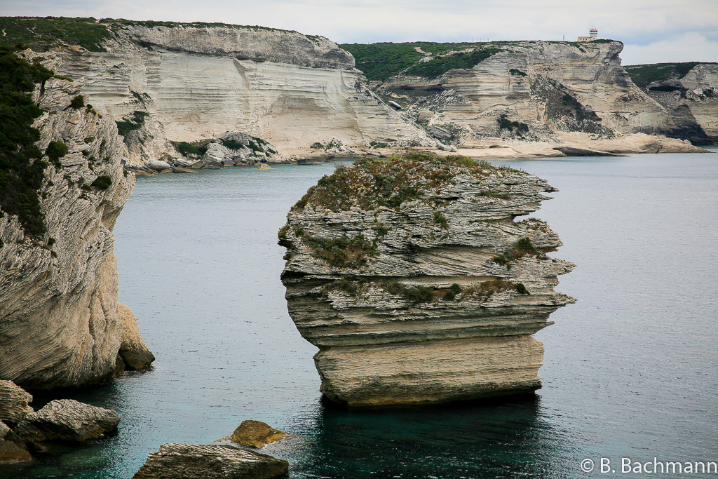 080923_Bonifacio_0053.jpg