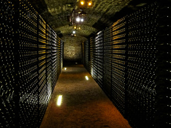 IMG_0538_DxO.jpg