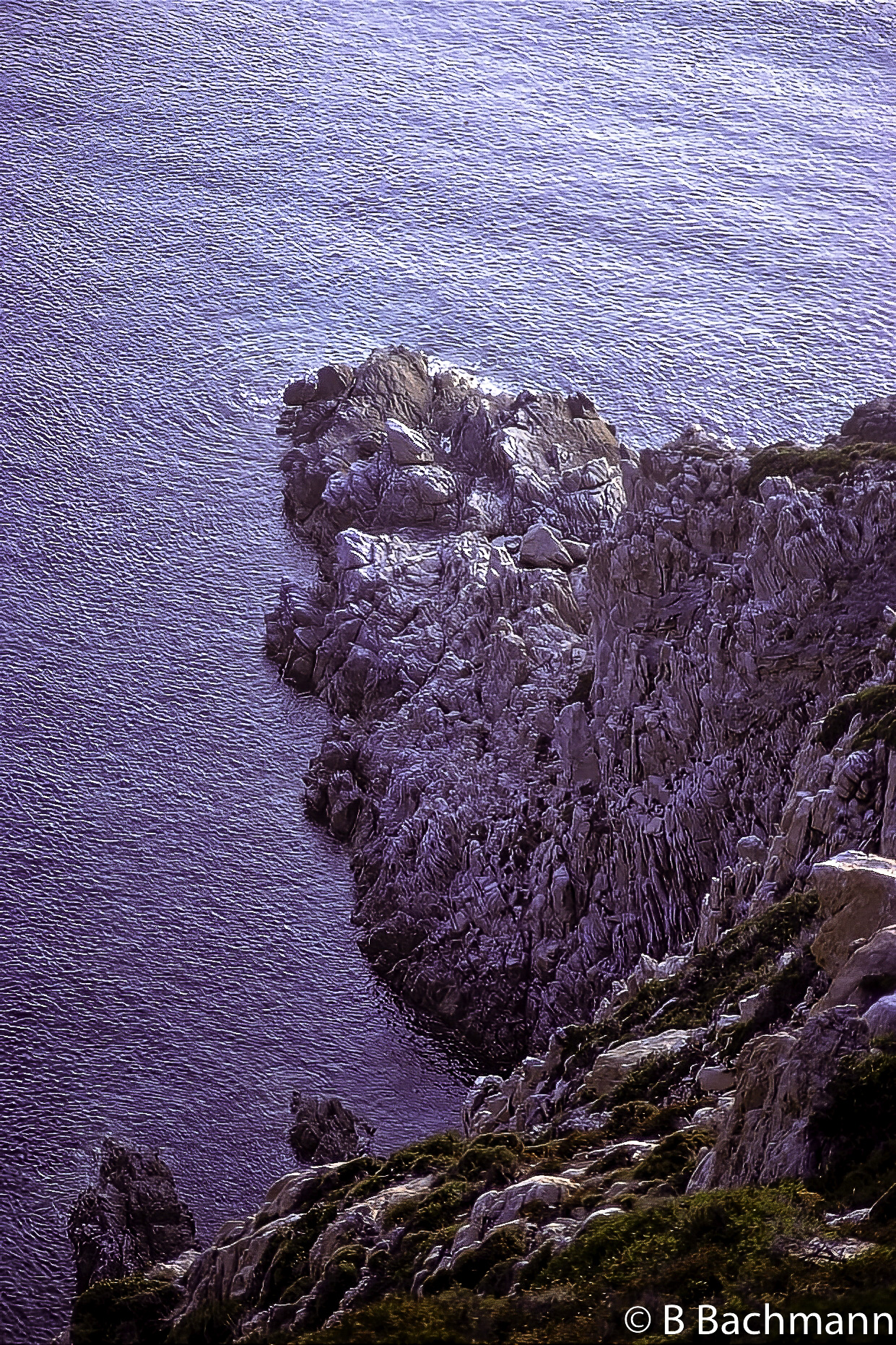 Calvi_124.jpg