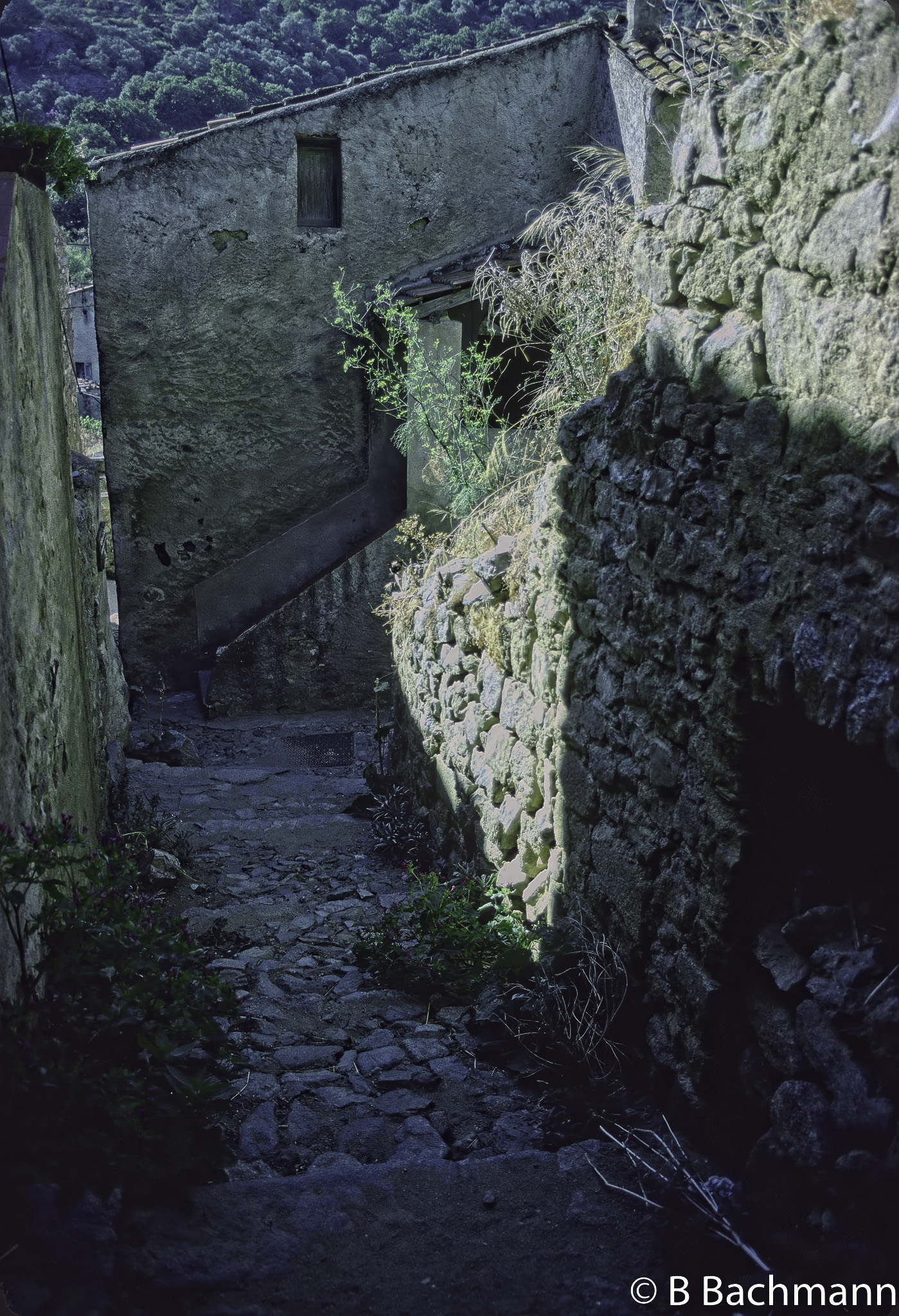 Pigna-091222-0004-1.jpg