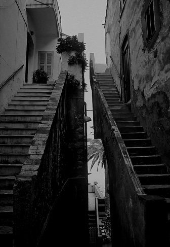 Calvi_107.jpg