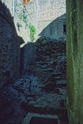 Pigna-091222-0002-1.jpg