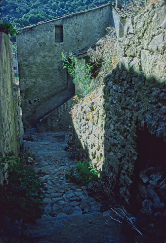 Pigna-091222-0004-1.jpg
