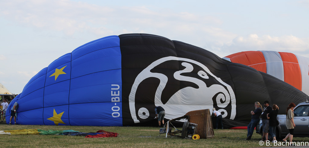 Mondial_Air_Ballons-2013_0013.jpg