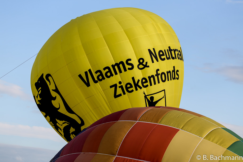 Mondial_Air_Ballons-2013_0026.jpg