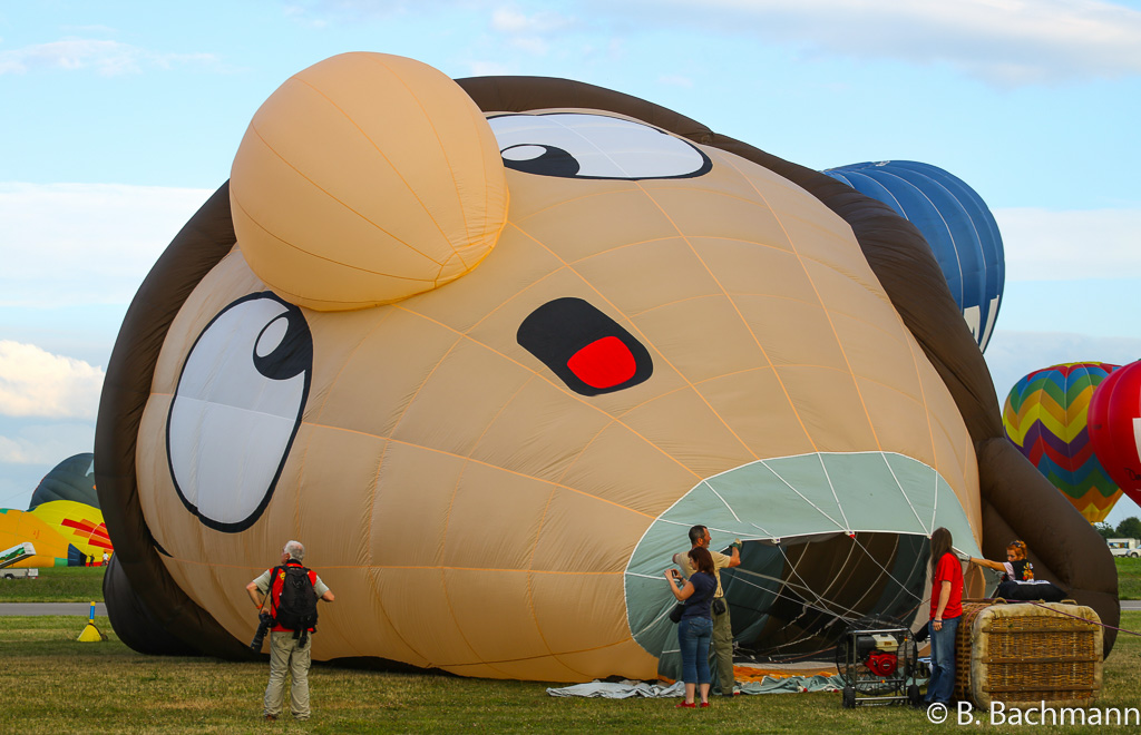 Mondial_Air_Ballons-2013_0069.jpg