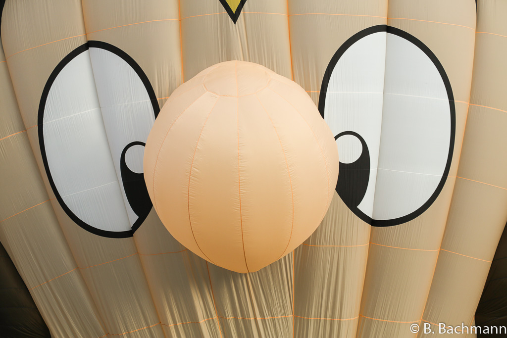 Mondial_Air_Ballons-2013_0080.jpg