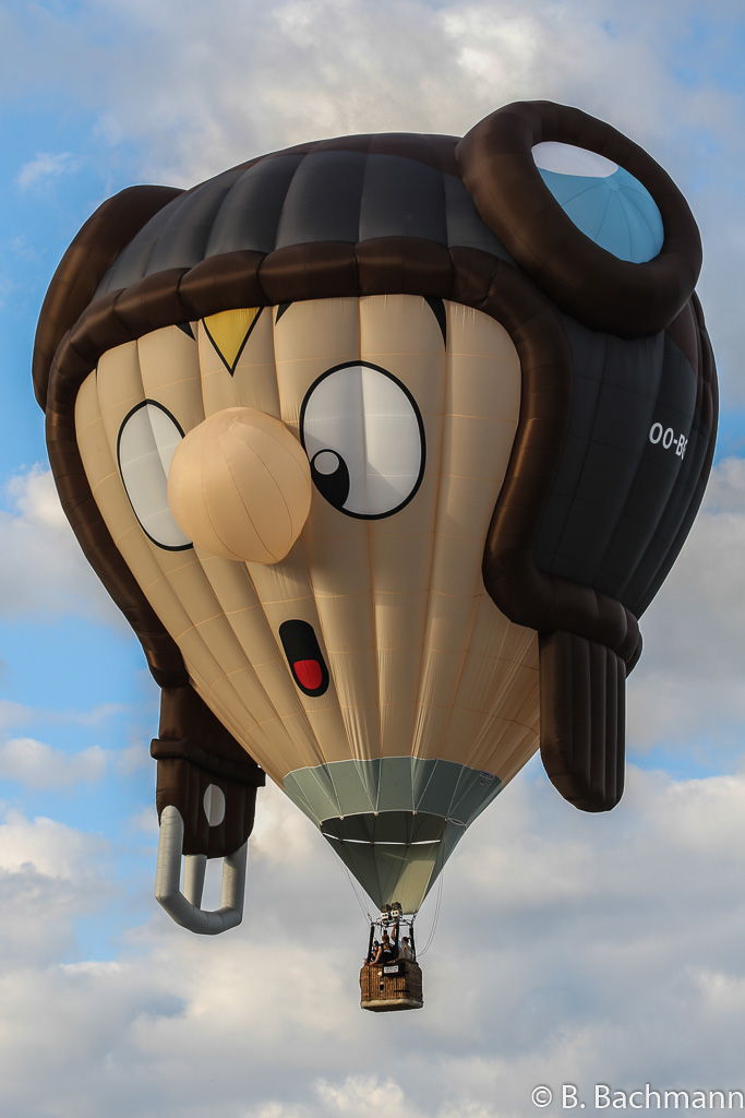 Mondial_Air_Ballons-2013_0084.jpg