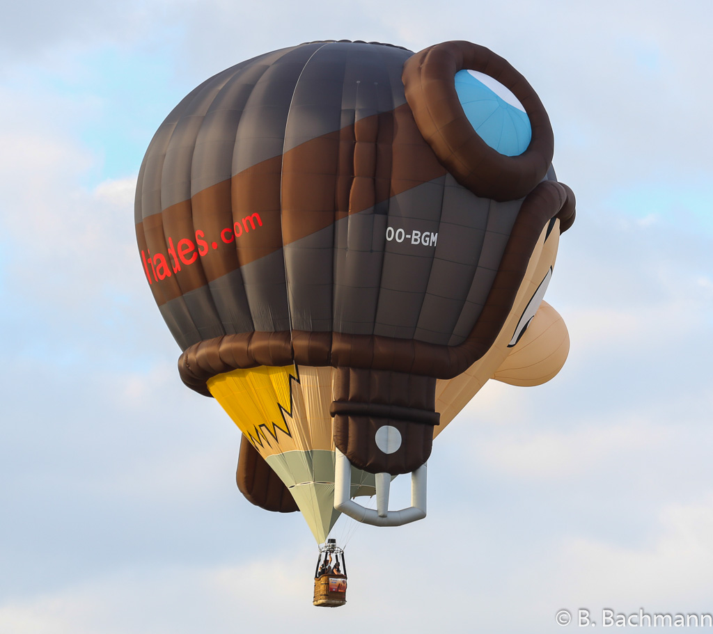 Mondial_Air_Ballons-2013_0088.jpg