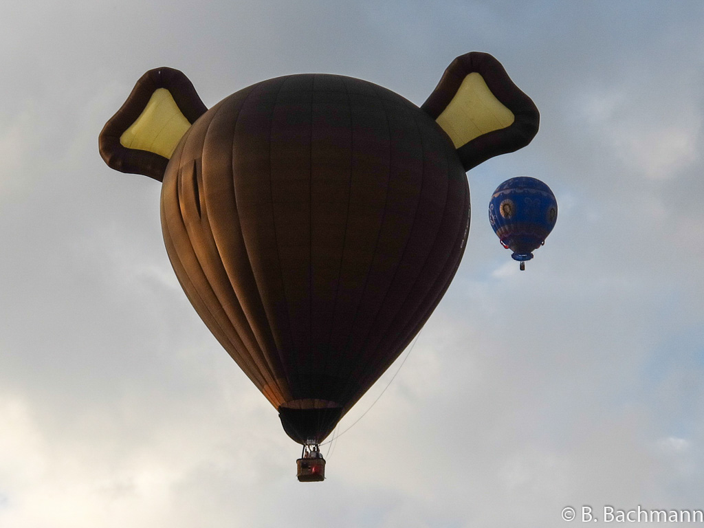 Mondial_Air_Ballons-2013_0091.jpg