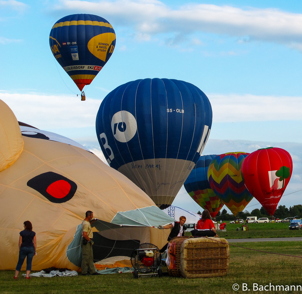 Mondial_Air_Ballons-2013_0137.jpg