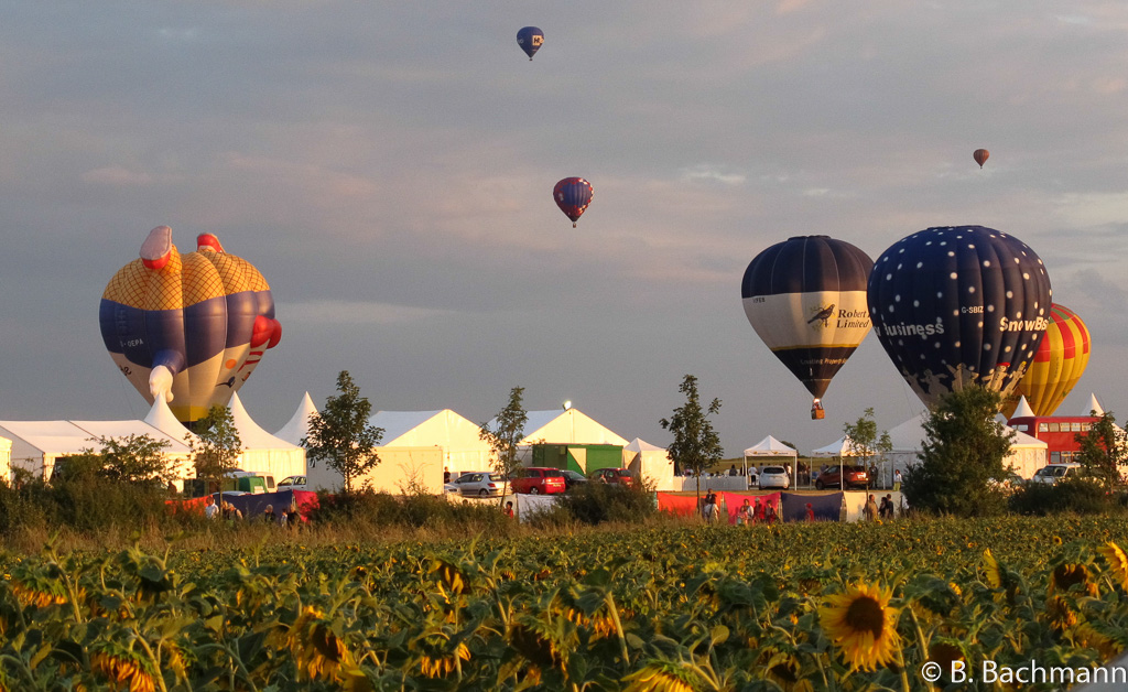 Mondial_Air_Ballons-2013_0162.jpg