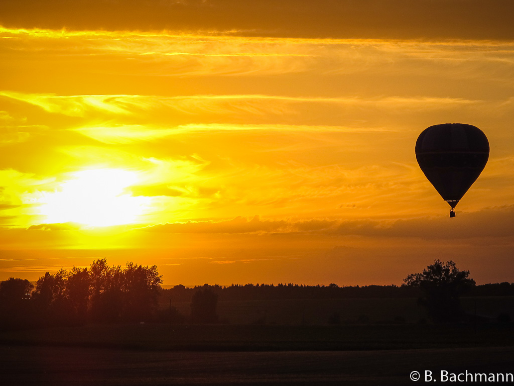 Mondial_Air_Ballons-2013_0166.jpg