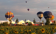 Mondial_Air_Ballons-2013_0162.jpg