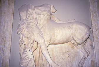 Museum 1984