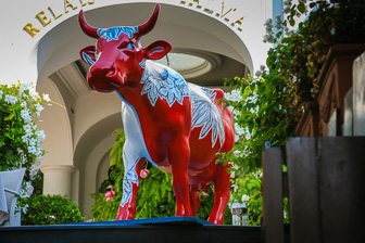 080925_Capri_0017.jpg