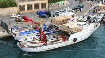 080926_Elbe_0004.jpg