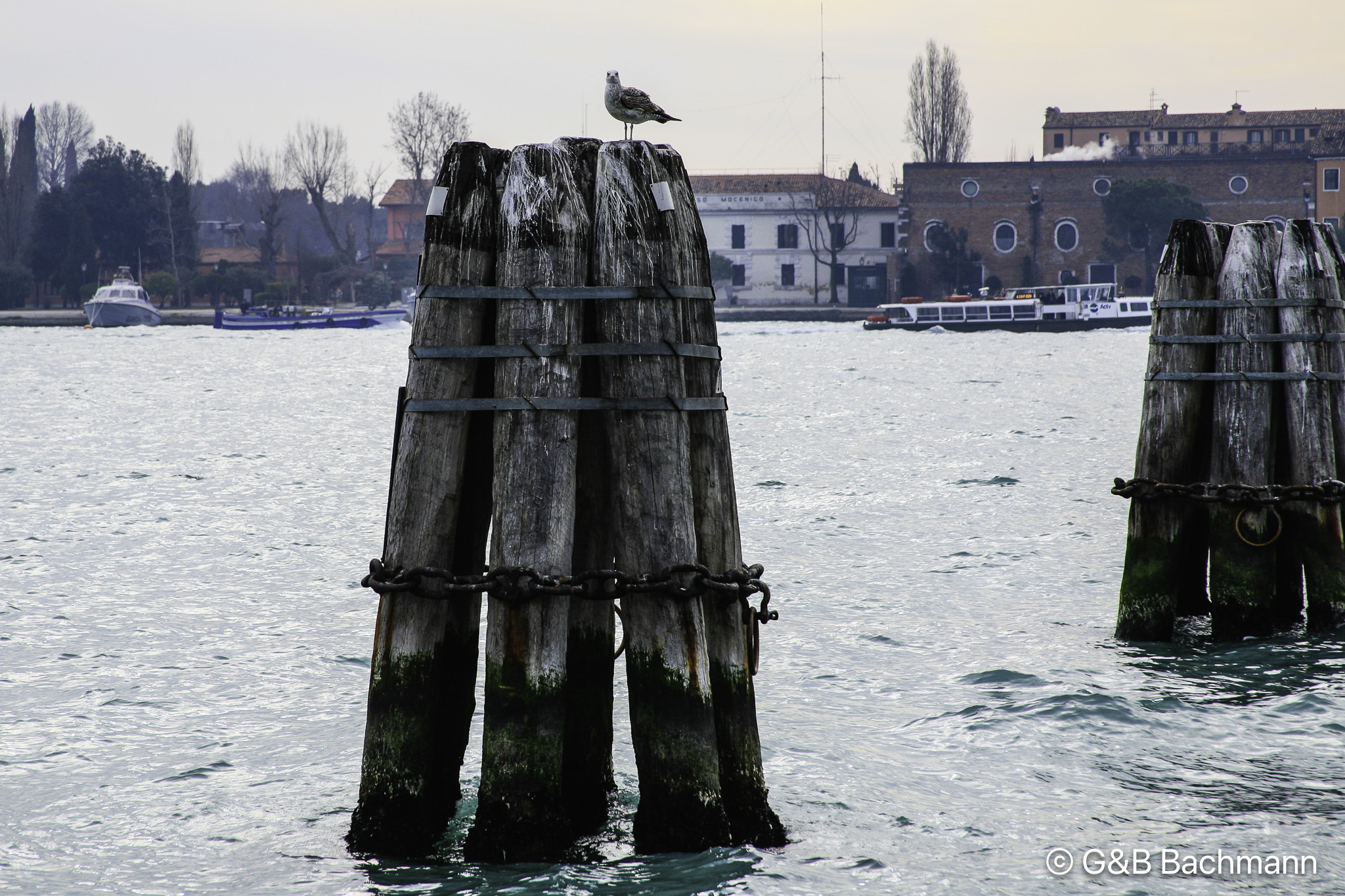 Venise_0030.jpg