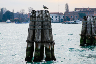 Venise_0030.jpg
