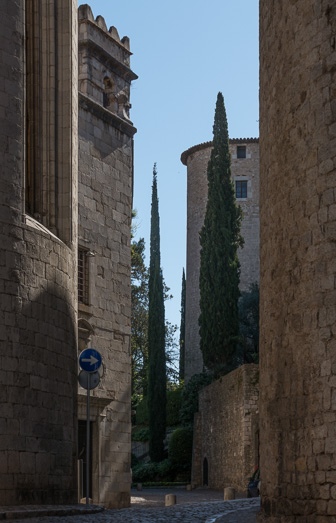 _1010507-Edit.jpg