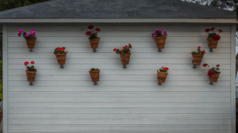 _1000915-Edit.jpg