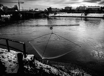 IMG_2868_v1.jpg