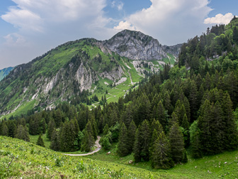 IMG_7132-Modifier.jpg
