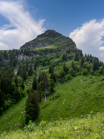 IMG_7133-Modifier.jpg