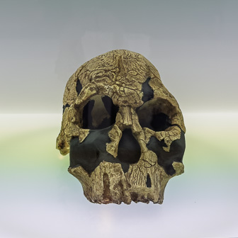 National History Museum