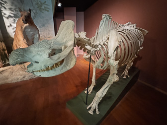 National History Museum