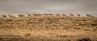 201506_Hvammstangi-13.jpg