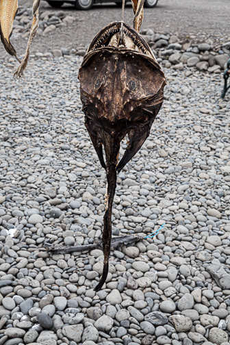 201506_Hvammstangi-7.jpg