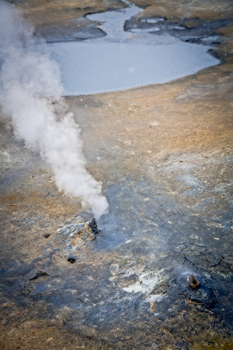 201506_Namaskard-45-Modifier.jpg