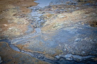 201506_Namaskard-55-Modifier.jpg