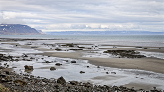 201506_Flokalundur-3-Modifier.jpg