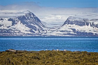 201506_Isafjoerdur-18-Modifier.jpg