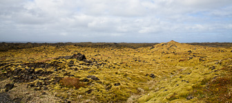 201506_Djupalonssandur-15-Modifier.jpg