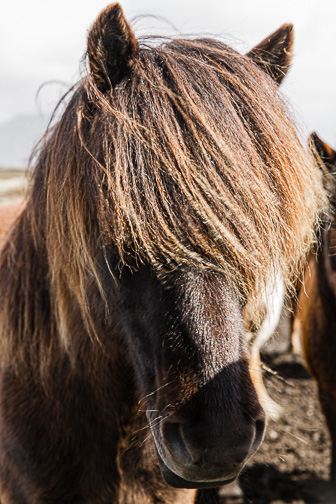 201506_Eldborg-14.jpg