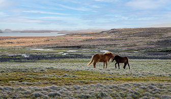 201506_Grundarfjoerdur-11-Modifier-Modifier.jpg