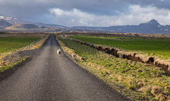 201506_Grundarfjoerdur-15.jpg